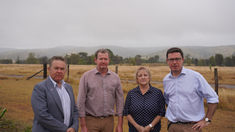 DON’T GIVE MOONLIGHT THE GREEN LIGHT